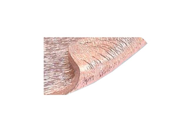 Aislamax Esp Doble Aluminizada 10x20Mt