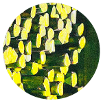 ICONOS_BARRAS CUADRADAS Y REDONDAS